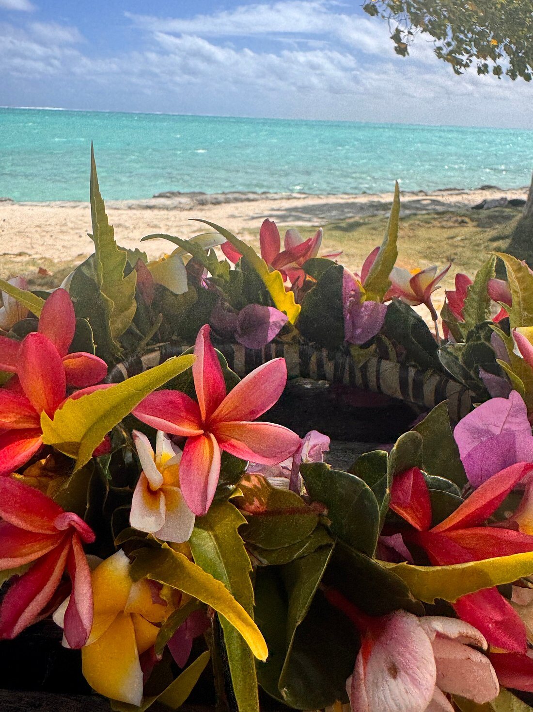 Couronne de fleurs fraîches posée face au lagon de Matira, photo partagée par Isabelle B.
